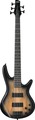 Ibanez GSR205SM-NGT (natural gray burst)