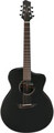 Ibanez JGM10-BSN (black satin)