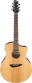 Ibanez PA230E-NSL (natural, w/ bag)