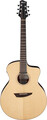 Ibanez PA300E-NSL (natural, w/ bag)