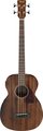 Ibanez PCBE12MH (Open Pore Natural) Bassi Acustici a 4 Corde