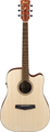 Ibanez PF10CE (open pore natural)