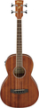 Ibanez PNB14E-OPN (open pore natural mahagoni)