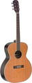 J.N Guitars EZR-J (natural and black transparent)