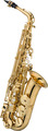 Jupiter JAS1100Q / Alto Saxophone (gold-lacquered) Saxofone Eb Alto