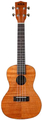 Kala Exotic Mahogany Concert Ukulele with Bag Ukulele Concerto