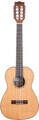 Kala Gloss Solid Cedar Top Acacia 8-String Baritone Ukulele / KA-SCAC-B8 (w/bag UB-B) Ukulele Barítono