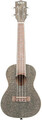 Kala Stardust Gold Concert Ukulele / KA SPRK GOLD (with bag)