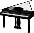 Kawai DG30 (ebony polish) Pianos à queue numérique