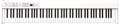 Korg D1 Stagepiano (88 keys - white) Piano de Palco