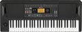 Korg Entertainer EK-50 (61 keys) Tastiere 61 Tasti