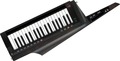 Korg RK-100S2 Keytar (translucent black) Keytars