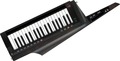 RK-100S2 Keytar (translucent black)