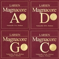 Larsen Magnacore / Set (medium)