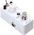 MOOER Reecho Gitarren-Effektgerät Bodenpedal Delay