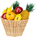 Meinl Nino Fruit & Vegetable Shaker Assortment NINOSET536 (18pcs)
