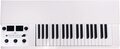 Mellotron M4000D Mini (white) Synthesizer/Tasten