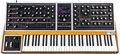 Moog One (16 voice) Synthesizer/Tasten