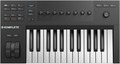 Native Instruments Komplete Kontrol A25 Masterkeyboards bis 25 Tasten