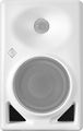 Neumann KH 120-II AES67 Stereo Set (white)