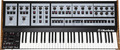 Oberheim OB-X8 Synthesizer/Tasten