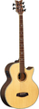 Ortega KTSM-5 Ken Taylor 5-String Acoustic Basses