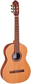 Ortega R189SN-25TH Guitares de concert 4/4