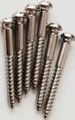 Tremolo Bridge Mounting Screws (nickel)
