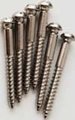 PRS Tremolo Bridge Mounting Screws (nickel)