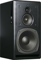 PSI Audio A25-M (metal black) Monitores Midfield