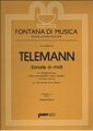 Pan Sonate Telemann Georg Philipp / Getreue Musikmeister