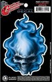 Planet Waves Blue Flame Skull Pegatinas y otros adhesivos para guitarra