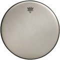 Renaissance Ambassador 6" RA-0006-SS
