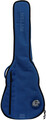 Ritter RGD2 Les Paul Guitar (sapphire blue)