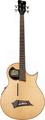 RockBass Alien Akustik Bass (Natural Satin) 4-String Acoustic Basses