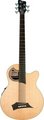 RockBass Alien Standard 5-String (Natural High Polish) Basses acoustiques 5 cordes