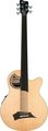 RockBass Alien Standard 5-String (Natural High Polish, fretless) Akustikbass 5-saitig