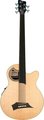 RockBass Alien Standard 5-String, Fret Lines (Natural High Polish, fretless) 5-String Acoustic Basses