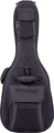 Starline Hollow Body E-Guitar (Black)