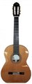 Rodriguez Model D Rio Spruce Top (Spruce)