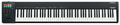 Roland A-88 MKII Midi Keyboard Controller (88 keys) Tatiere Master fino a 88 Tasti