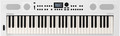 Roland GO:KEYS-5 (white) Tastiere 61 Tasti