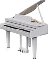 Roland GP-6 (polished white)