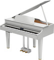 GP607 (polished white)