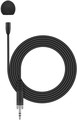 Sennheiser MKE Essential Omni EW (black)