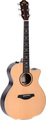Sigma Guitars GTCE-2