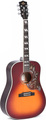 Sigma Guitars SG-SDMSG5 SIGMA Acoustic Guitars (with soft case)