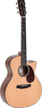 Sigma Guitars SGPC-10E