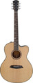 Sire A4 GS Larry Carlton's Signature (natural) Guitares acoustiques Cutaway avec micro