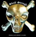 Skull Strings DROP C 1158 Regular Drop C